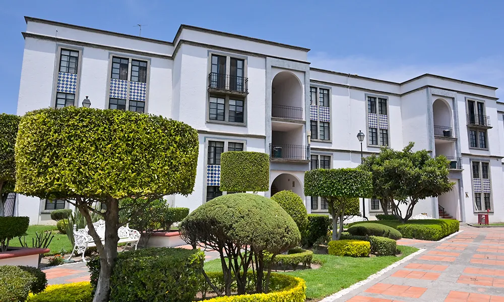 Colegio Ignacio Bernal - Foto 6